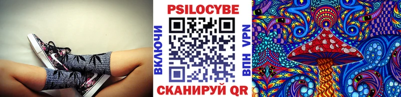 дарнет шоп  Реутов  Псилоцибиновые грибы Cubensis 