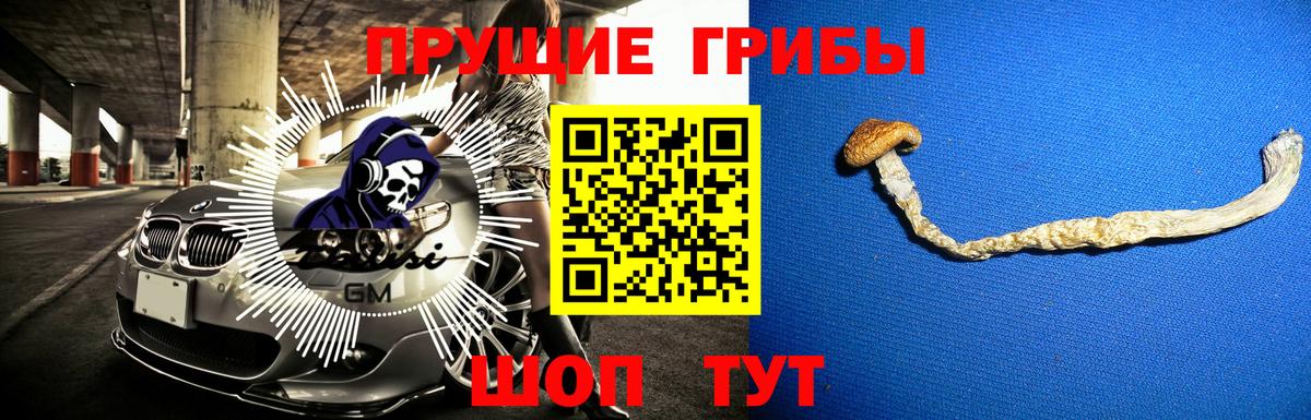 Псилоцибиновые грибы GOLDEN TEACHER Реутов