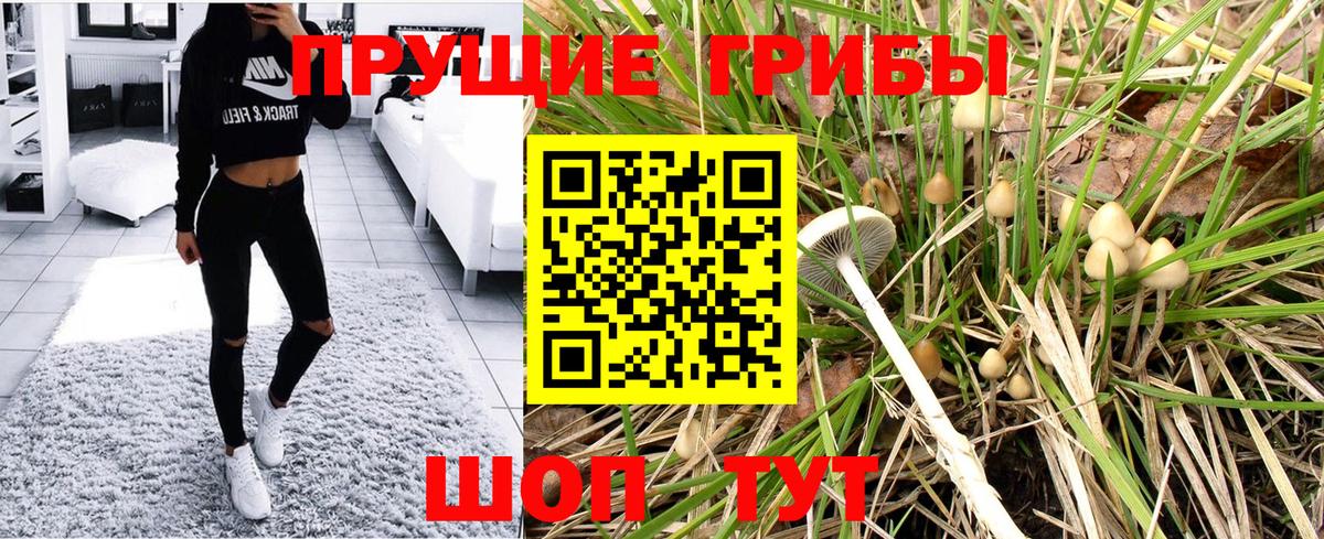 Галлюциногенные грибы Psilocybe  Вход с VPN  Реутов 